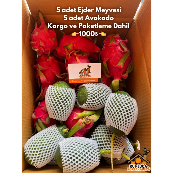 5 ADET AVOKADO -- 5 ADET EJDER MEYVESİ 