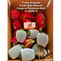 11 ADET AVOKADO -- 11 ADET  EJDER MEYVESİ 