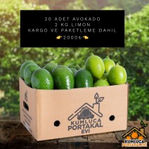 20 ADET AVOKADO--- 2 KG LİMON