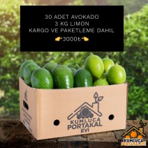 30 ADET AVOKADO--- 3 KG LİMON