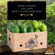 40 ADET AVOKADO-- 4 KG LİMON