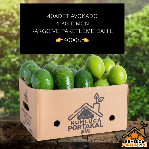 40 ADET AVOKADO-- 4 KG LİMON