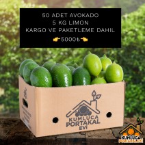 50 ADET AVOKADO---- 5 KG LİMON