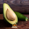 20 ADET AVOKADO--- 2 KG LİMON