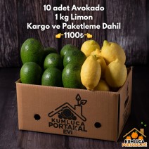 10 ADET AVOKADO--- 1 KG LİMON