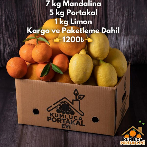 7 KG MANDALİNA-- 5 KG PORTAKAL -- 1 KG LİMON 