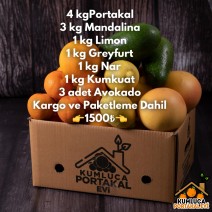 4 KG PORTAKAL-3 KG MANDALİNA-- 1 KG  LİMON - 1 KG GREYFURT - 1 KG NAR- 1 KG KUMKUAT - 3 ADET AVOKADO 