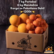 7 KG PORTAKAL -- 6 KG MANDALİNA 