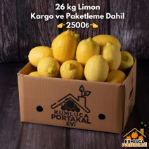 26 KG LİMON