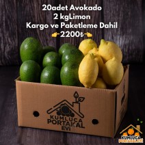 20 ADET AVOKADO--- 2 KG LİMON