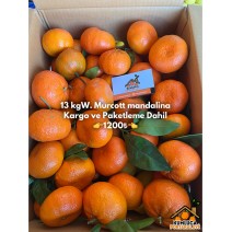 13 KG W. MURCOTT MANDALİNA 