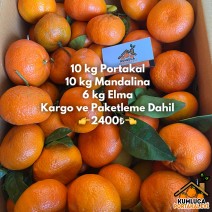 10 KG PORTAKAL-10 KG MANDALİNA - 6 KG ELMA 