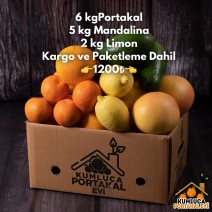 6 KG PORTAKAL -- 5 KG MANDALİNA -- 2 KG LİMON 