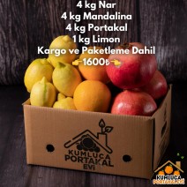 4 KG NAR -- 4 KG MANDALİNA -- 4 KG PORTAKAL -- 1 KG LİMON 