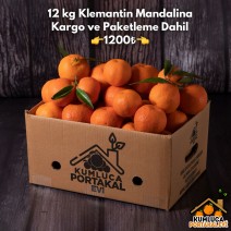 12 KG KLEMANTİN MANDALİNA 