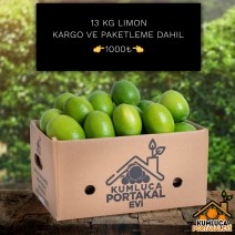 13 KG LİMON