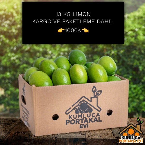 13 KG LİMON