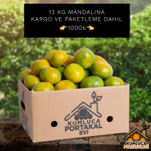 13 KG  MANDALİNA 