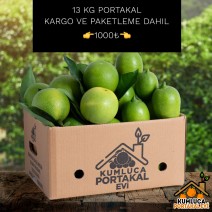 13 KG PORTAKAL 