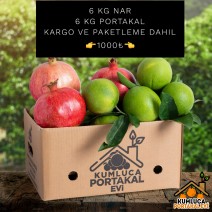 6 KG NAR- 6 KG PORTAKAL 