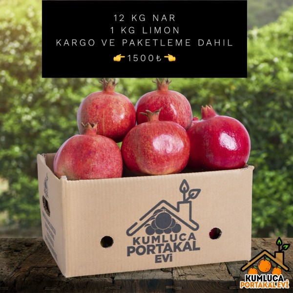 12 KG NAR 1 KG LİMON 