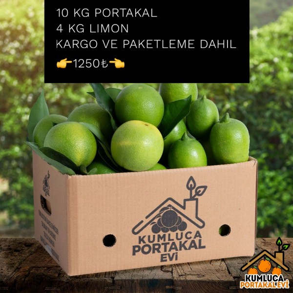 10 KG PORTAKAL -- 4  KG LİMON
