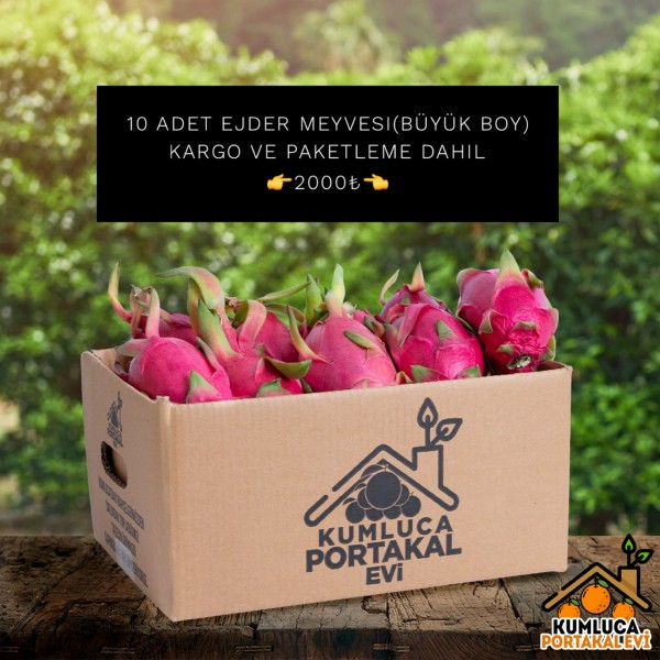 10 ADET EJDER MEYVESİ