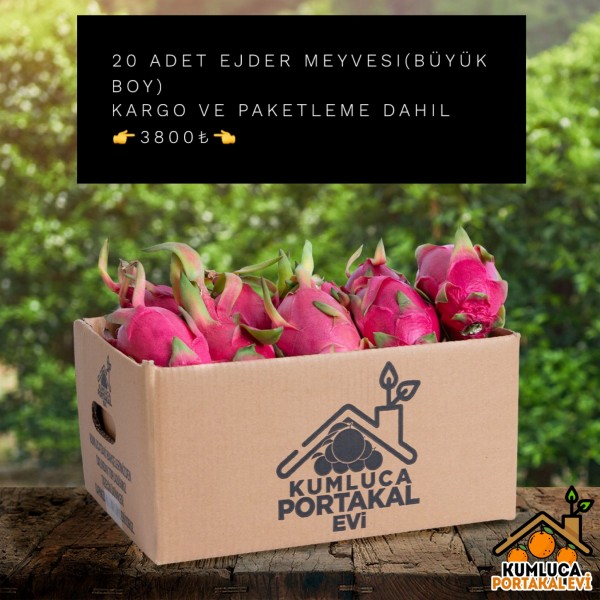 20 ADET EJDER MEYVESİ
