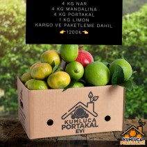 4 KG NAR 4 KG MANDALİNA 4 KG PORTAKAL 1 KG LİMON 