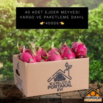 40 ADET EJDER MEYVESİ
