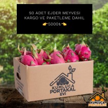 50 ADET EJDER MEYVESİ