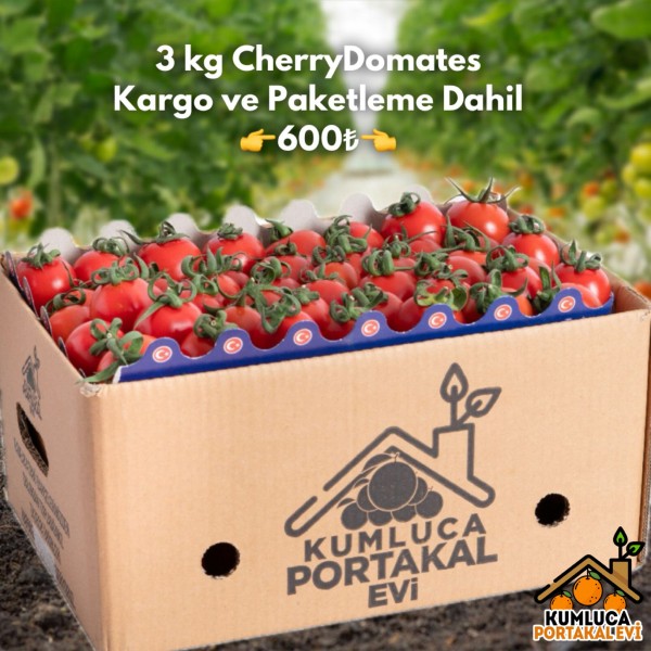 3 KG CHERRY DOMATES 