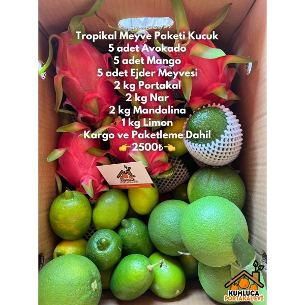 TROPİKAL MEYVE PAKETİ KÜÇÜK 