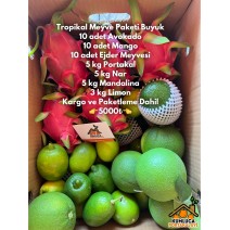 TROPİKAL MEYVE PAKETİ BÜYÜK 