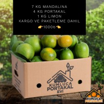 7 KG MANDALİNA--4 KG PORTAKAL--1 KG LİMON