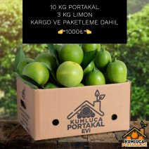 10 KG PORTAKAL -- 3 KG LİMON