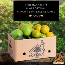 7 KG MANDALİNA--6 KG PORTAKAL 