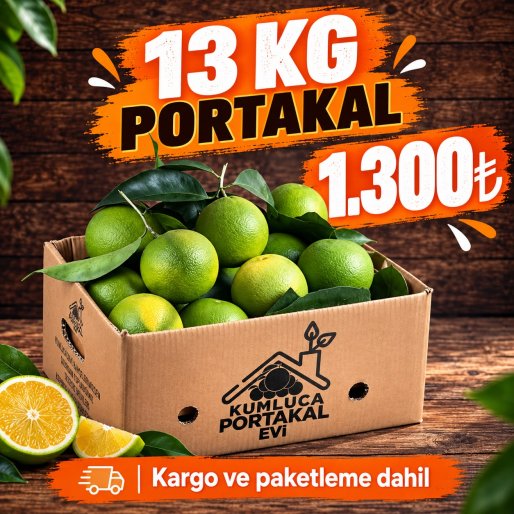 13 Kg Taze Antalya Portakalı
