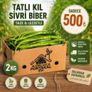 2 KG TATLI KIL SİVRİ BİBER