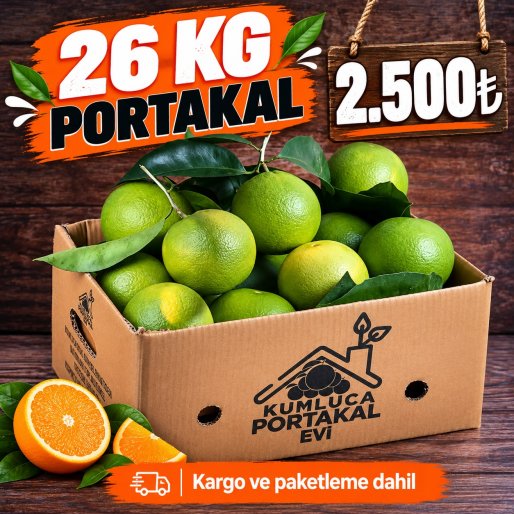 26 Kg Taze Antalya Portakalı