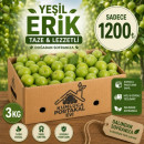 3 KG YEŞİL ERİK