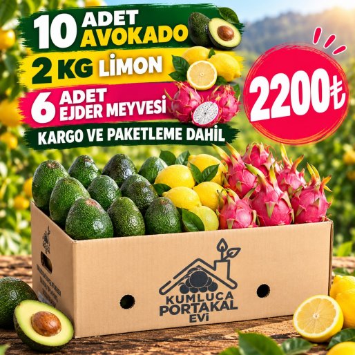 Avokado & Ejder Meyvesi Özel Paketi