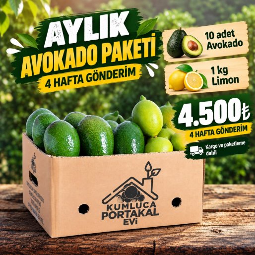 Aylık Avokado Paketi