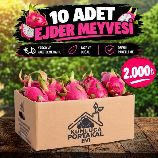 Kumluca Ejder Meyvesi 10 Adet