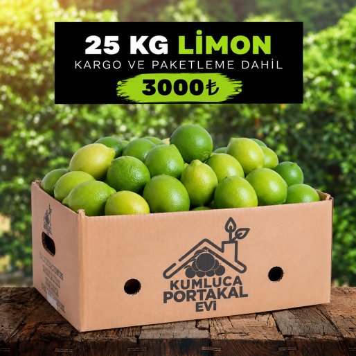 Kumluca Limonu 25 KG