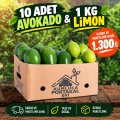 10 Adet Avokado + 1 KG Limon