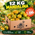 12 KG Taze Mandalina