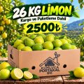 26 KG Taze Limon Paketi