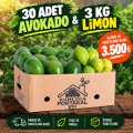 30 Adet Avokado + 3 KG Taze Limon