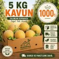 5 KG KAVUN